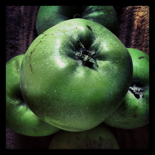 9704279658_eaaba95fb9