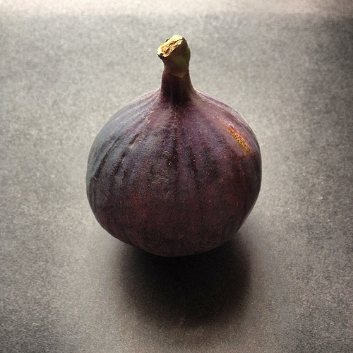 Fig