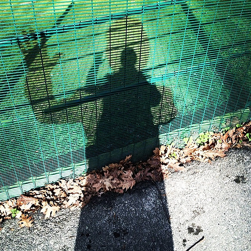 Shadowplay