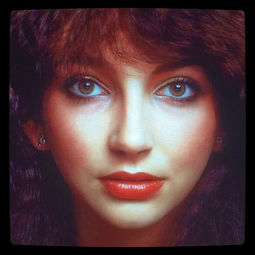 15002733085_ace7533d5a