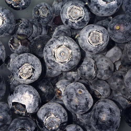 Blueberries