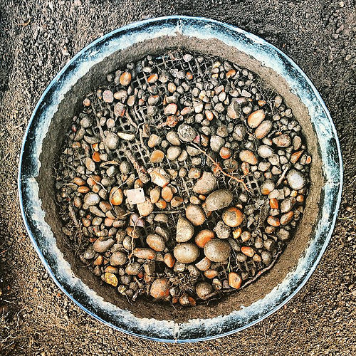 Sieve