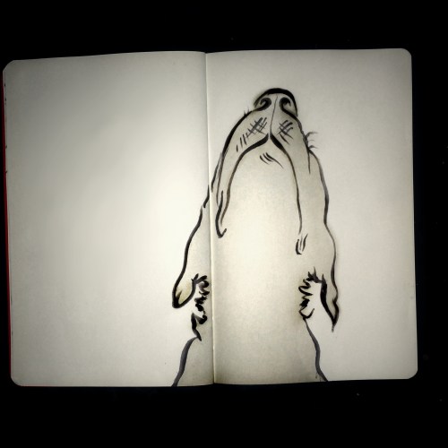 Finn snout inktober
