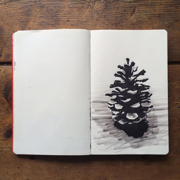 Pine Cone Inktober