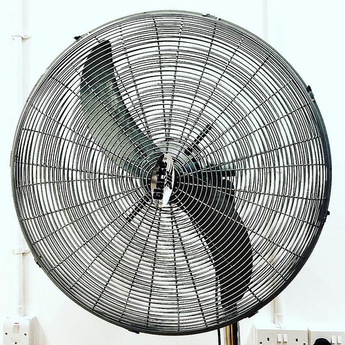 Fan