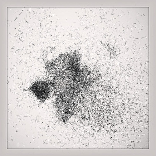 Shavings