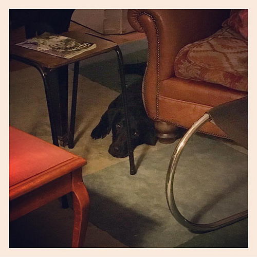 Please-don't-leave-me