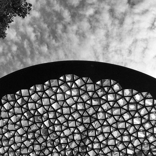 Ommatidium