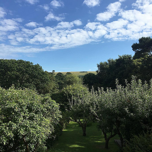 Dorset