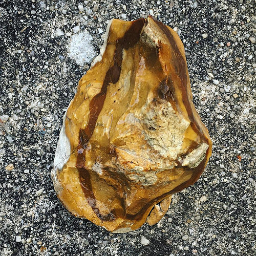 Geology