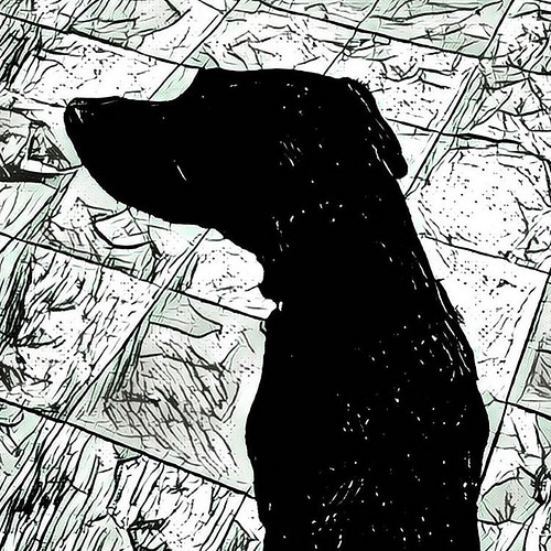 Labradoriness