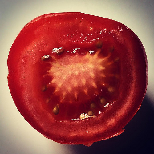 Organism