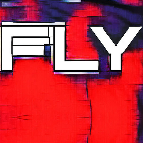 fly